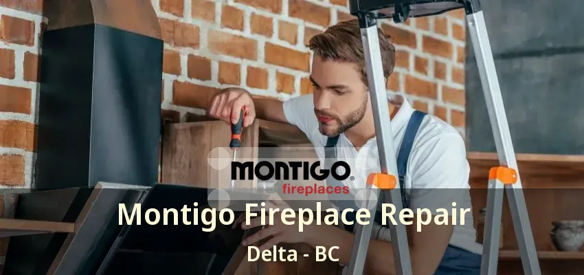 Montigo Fireplace Repair Delta - BC Montigo Fireplace Repair Delta - BC