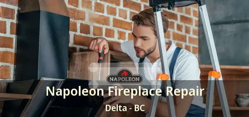 Napoleon Fireplace Repair Delta - BC Napoleon Fireplace Repair Delta - BC